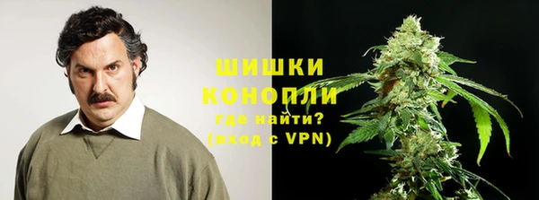 PSILOCYBIN Волоколамск