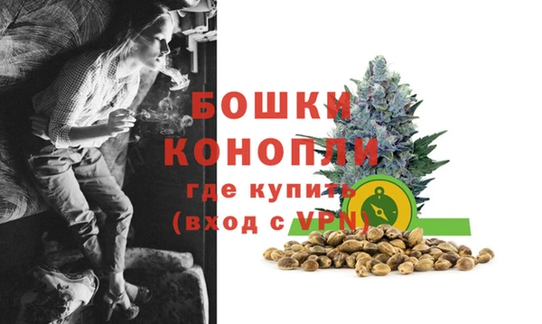 PSILOCYBIN Волоколамск